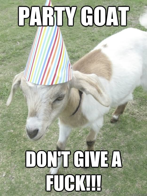 Party Goat Don't Give Fuck Funny Meme