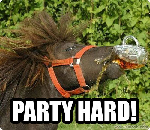 Party Hard Funny Horse Meme Picture For Facebook
