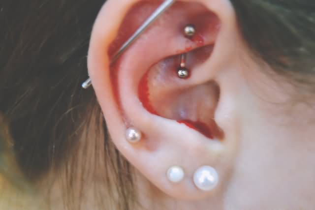 Pearl Studs Lobe And Rook Piercing