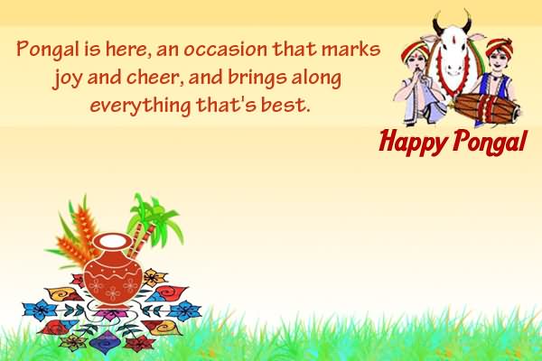 Pongal Is Here An Occasion That Marks Joy And Cheer, And Brings Along Everything That's Best Happy Pongal Greetings