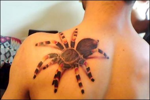 Realistic 3D Wolf Spider Tattoo On Man Left Back Shoulder