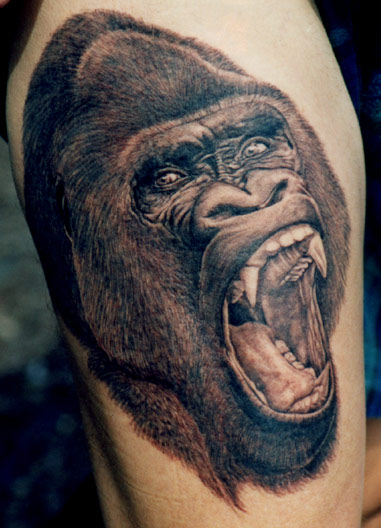Realistic Roaring Gorilla Head Tattoo On Thigh