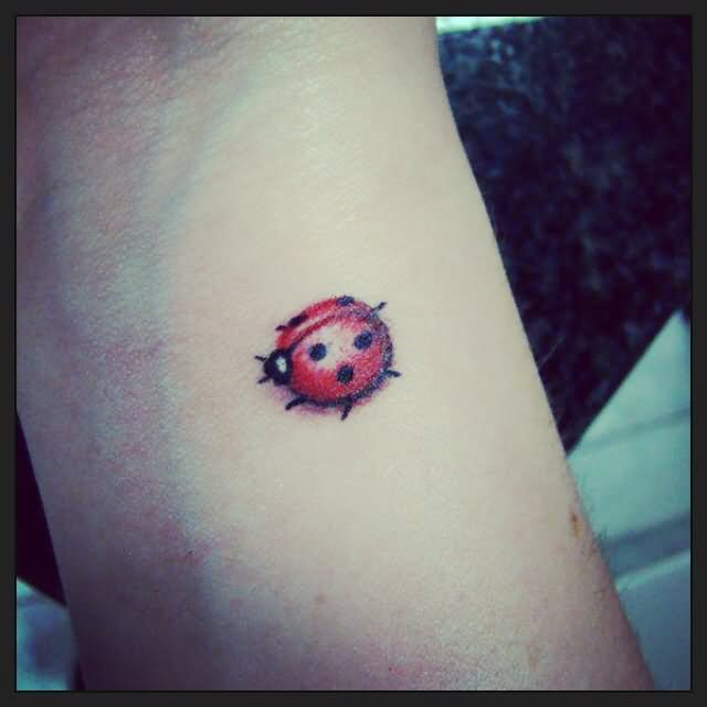 Red And Black Ladybird Tattoo On Side Wrist