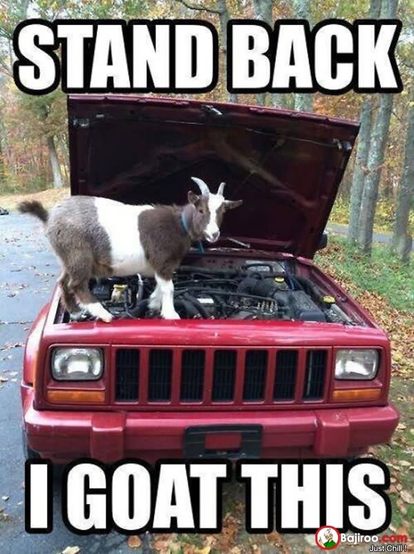 Stand Back I Goat This Funny Meme