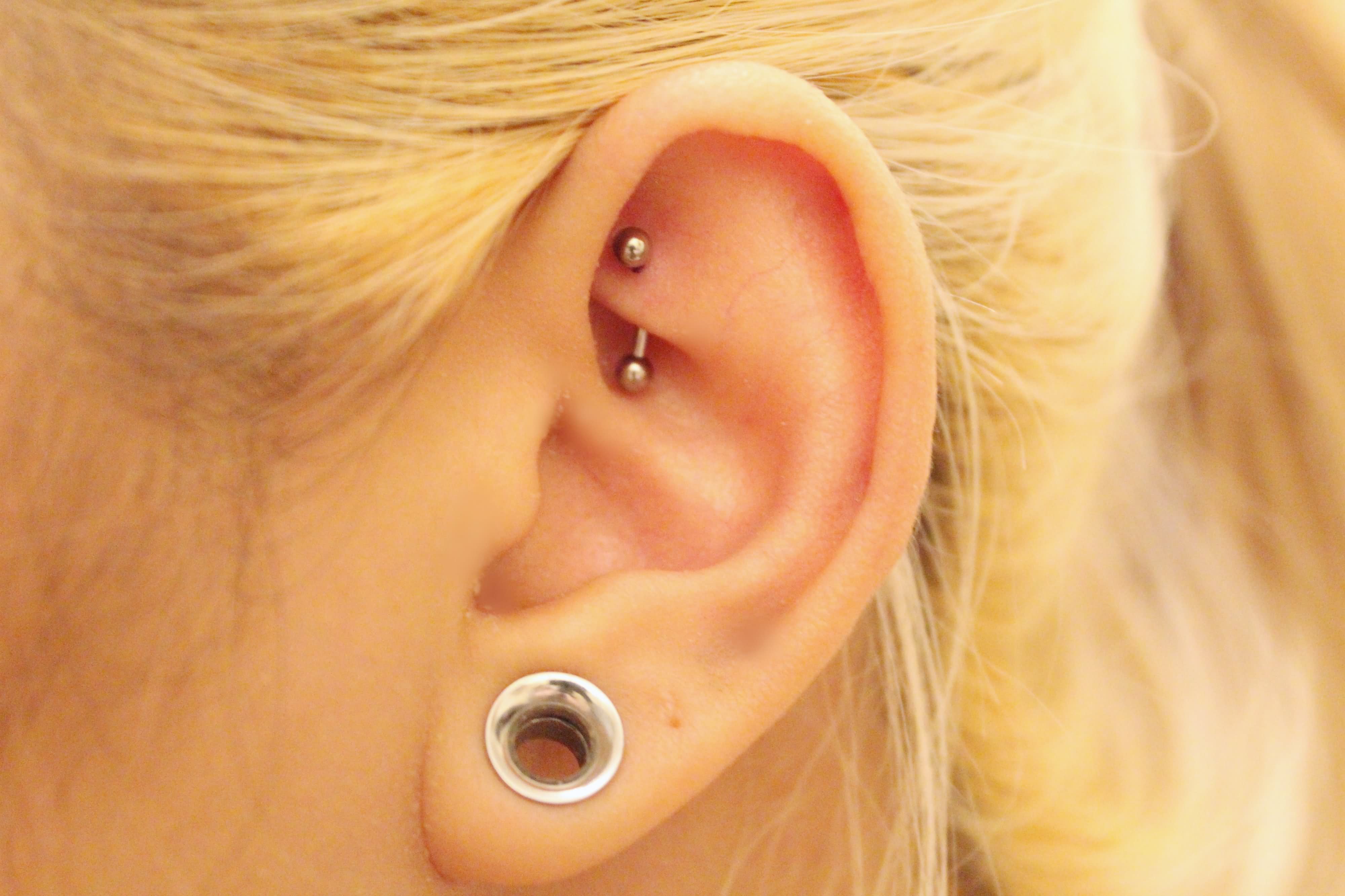 Stretched Lobe And Rook Piercing Image