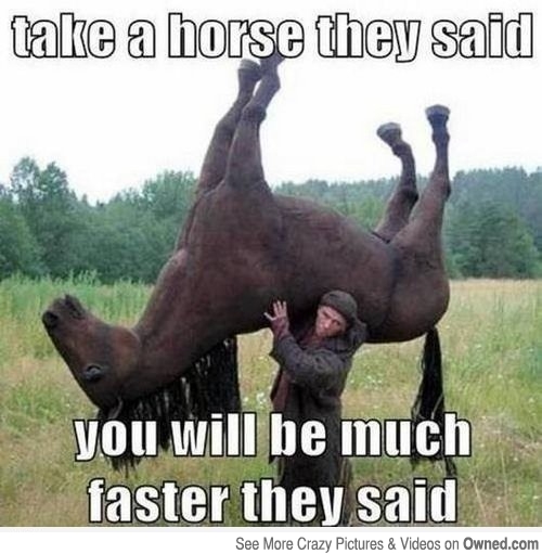 Take A Horse They Said Funny Horse Meme