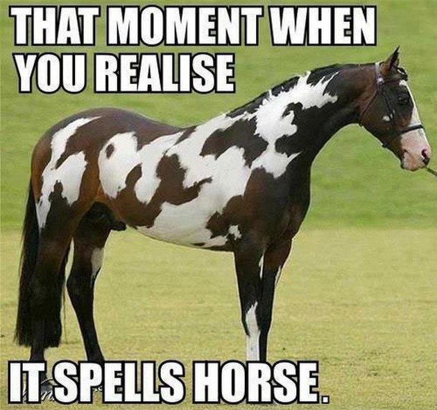 That Moment When You Realize Funny Horse Meme