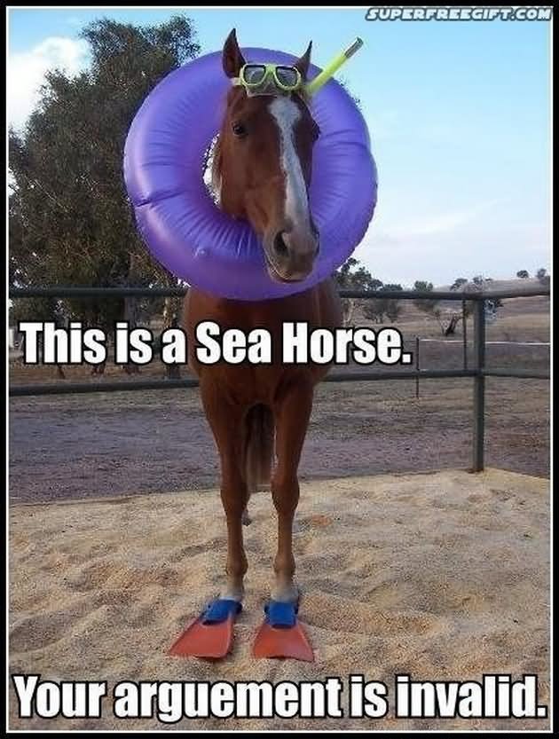 This Is A Sea Horse Funny Meme