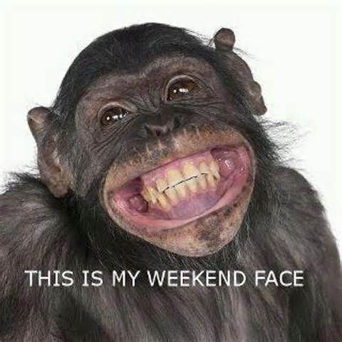 This Is My Weekend Face Funny Monkey