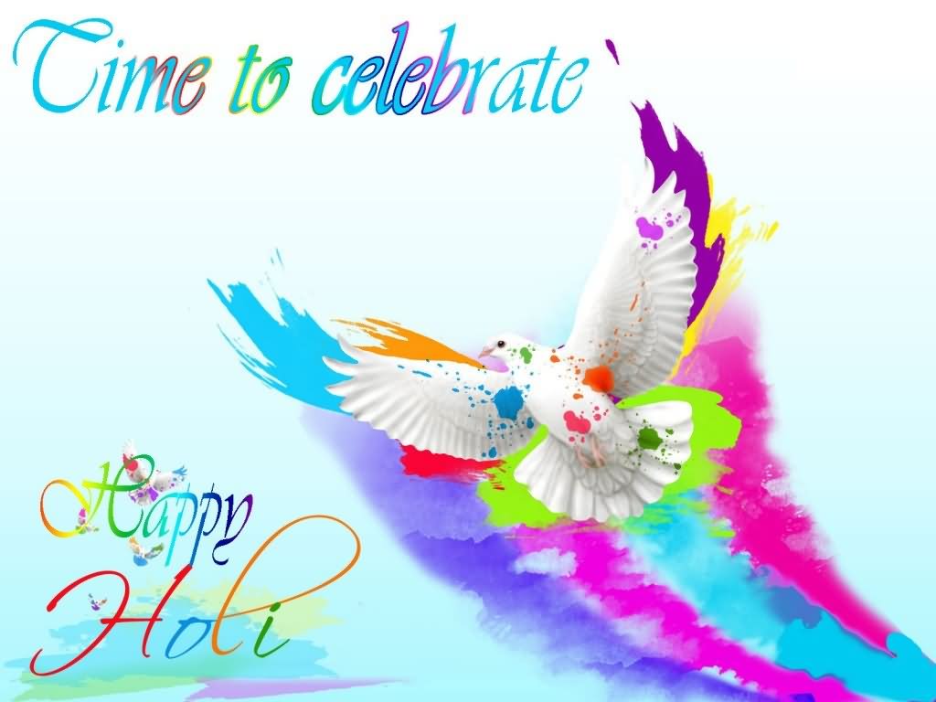 Time To Celebrate Happy Holi Color Splash On Pigeon