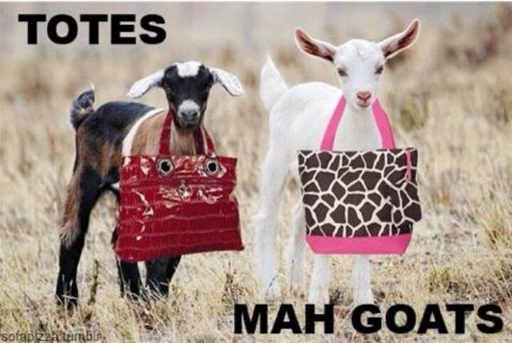 Totes Mah Goats Funny Picture