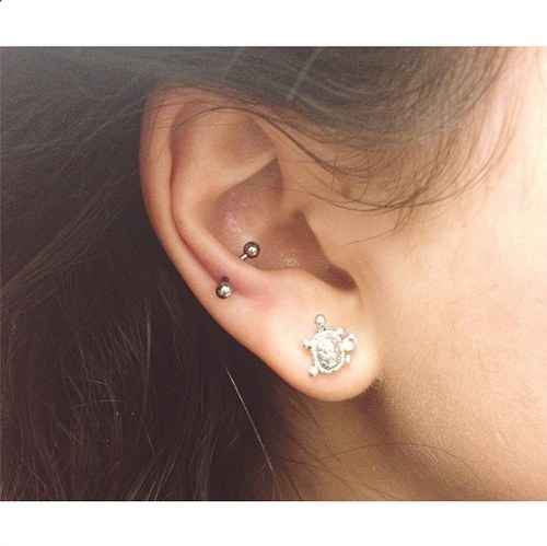 Turtle Stud Lobe Piercing And Snug Piercing with Curved Barbell