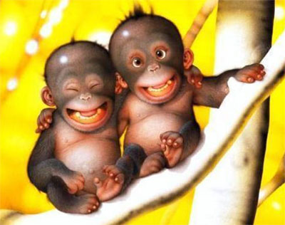 Two Cute Baby Monkeys Smiley Face Funny Image