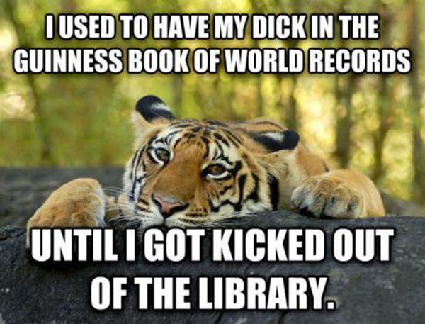 Until I Got Kicked Out Of The Library Funny Tiger Meme