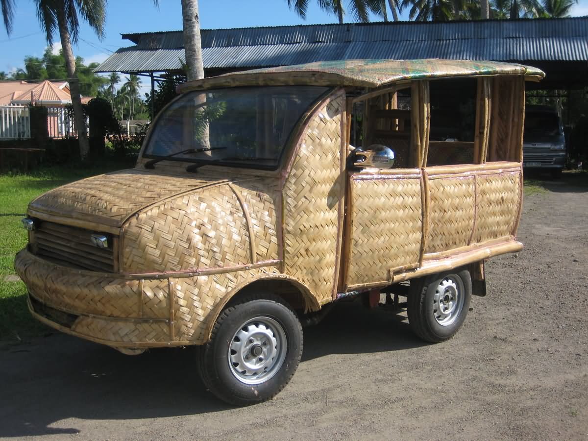 Van Funny Body Funny Vehicle