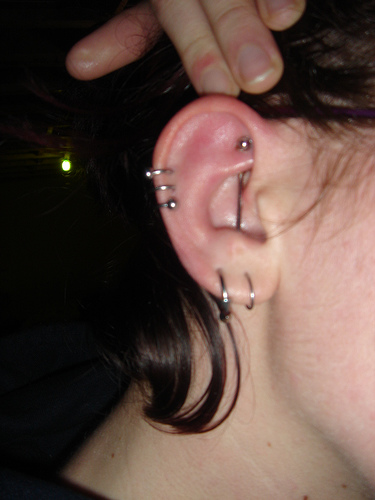 Vertical Rook Piercing And Spiral Ear Piercing