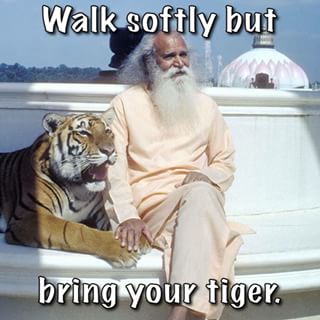 Walk Softly But Funny Tiger Meme