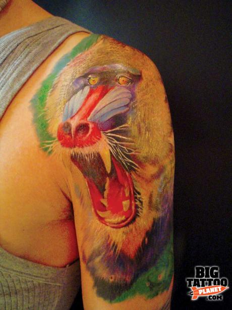 Watercolor Baboon Head Tattoo On Shoulder