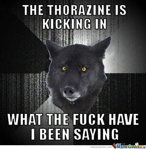 What The Fuck Have I Been Saying Funny Wolf Meme