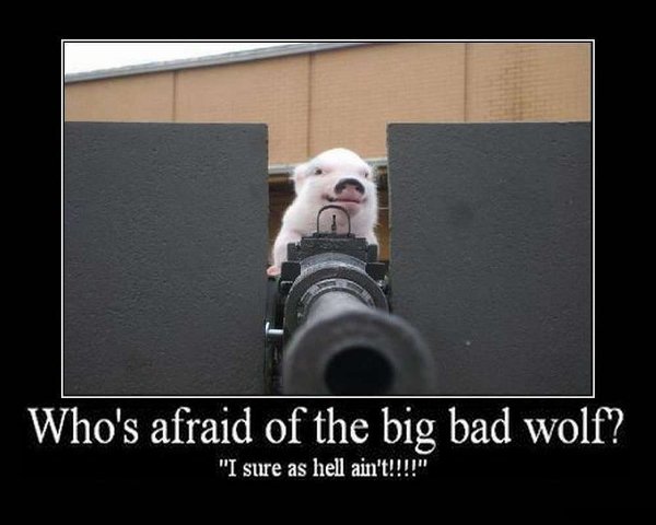 Who's Afraid Of The Big Bad Wolf Funny Poster