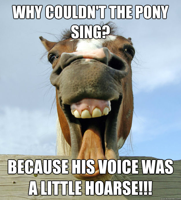 Why Couldn't The Pony Sing Funny Horse Meme