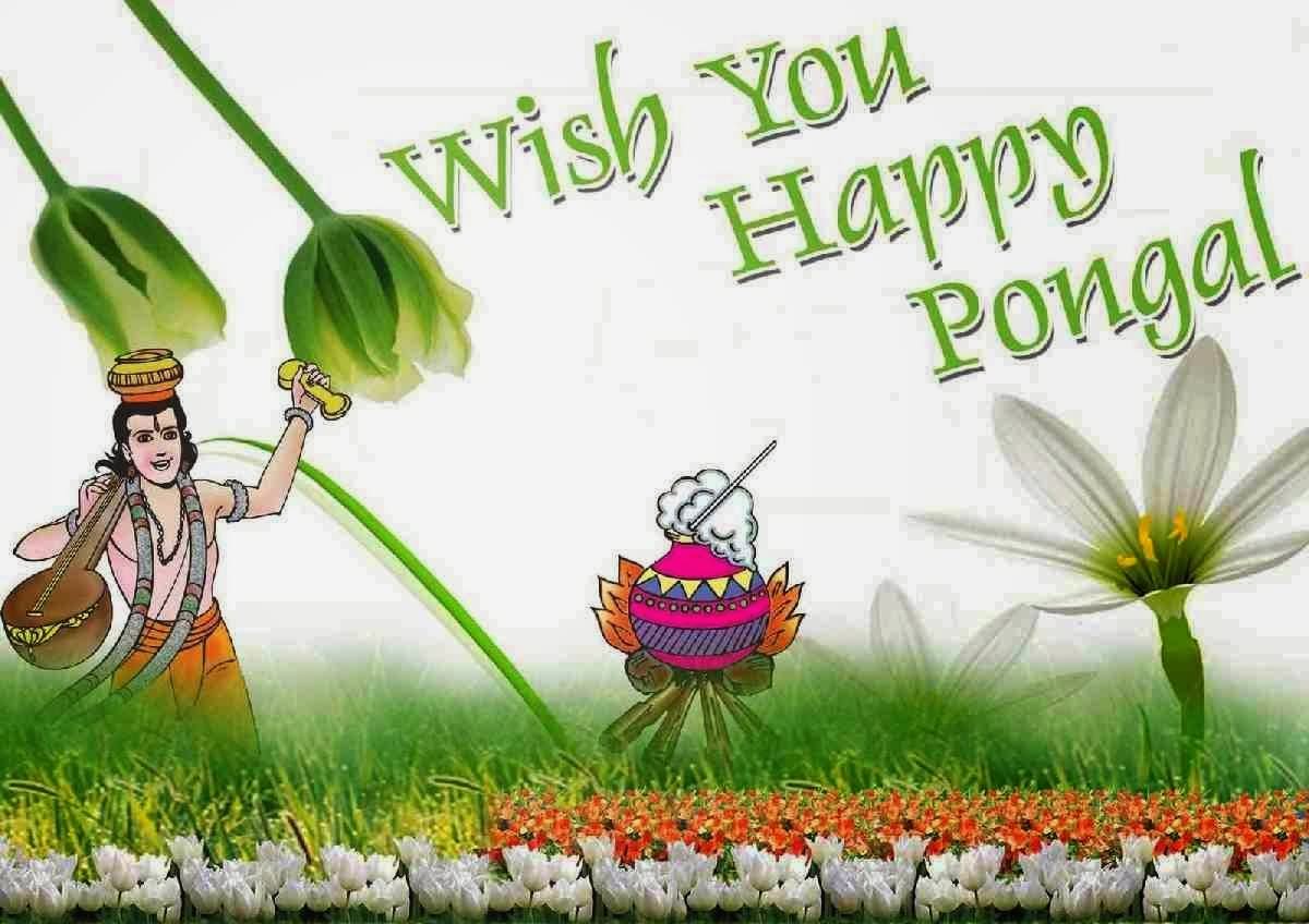 Wish You Happy Pongal Narad Munni