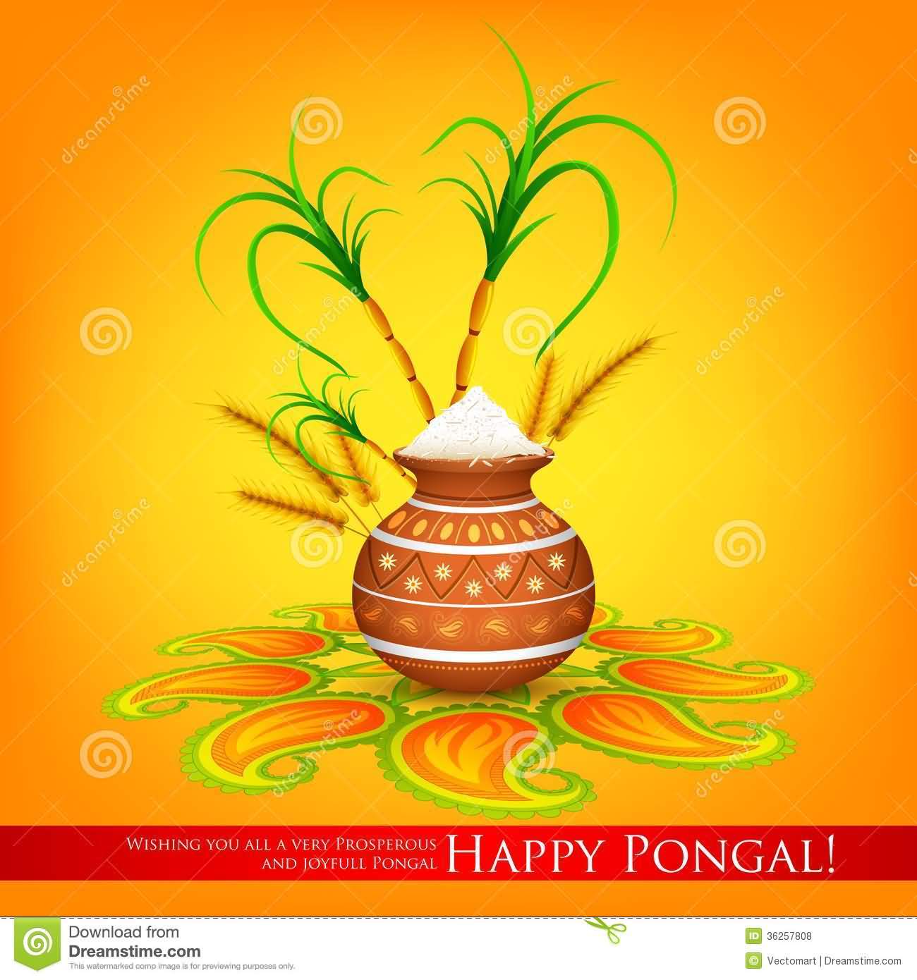 Wishing You All A Very Prosperous And Joyful Pongal Happy Pongal Picture