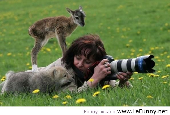 Wolf Baby On Girl Back Funny Picture