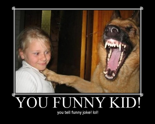 You Funny Kid You Tell Joke Lol Funny Wolf Poster