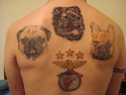 Amazing Three Pug Face Tattoo On Man Upper Back