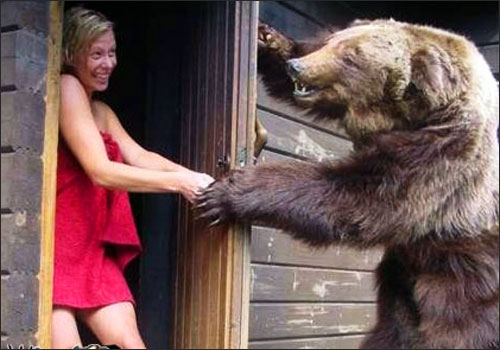 Bear Hand Shaking With Girl Funny Image
