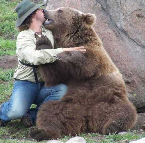 Bear Kissing Man Funny Image