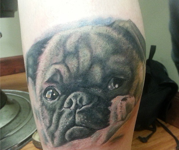 Black And Grey 3D Pug Face Tattoo Design For Leg