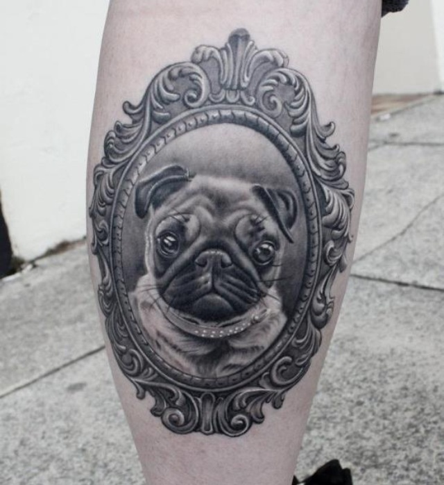 Black And Grey Cute Pug In Frame Tattoo On Leg Calf
