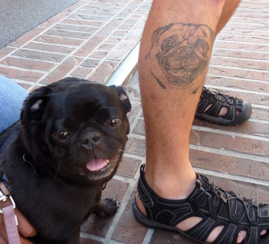 Black And Grey Pug Face Tattoo On Man Leg