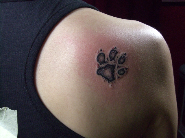Black Pug Paw Tattoo On Right Back Shoulder