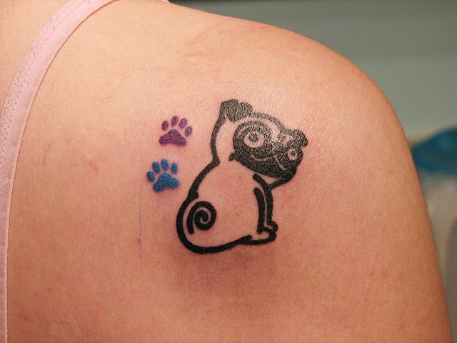 Black Pug With Colorful Paw Print Tattoo On Right Back Shoulder