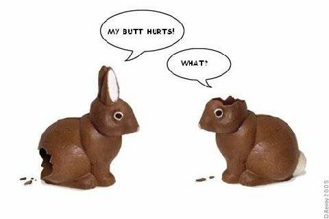 Bunnies Funny Easter Picture