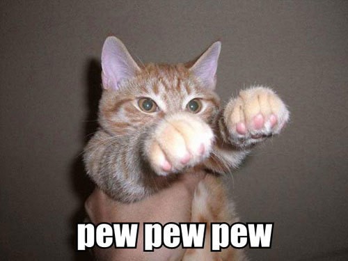 Cat Showing Punches Funny Fight Image