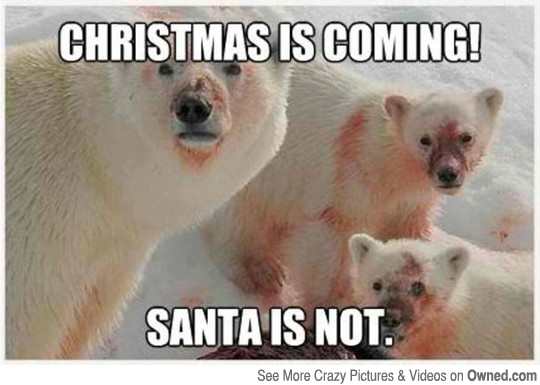 Christmas Is Coming Funny Polar Bear Family Meme