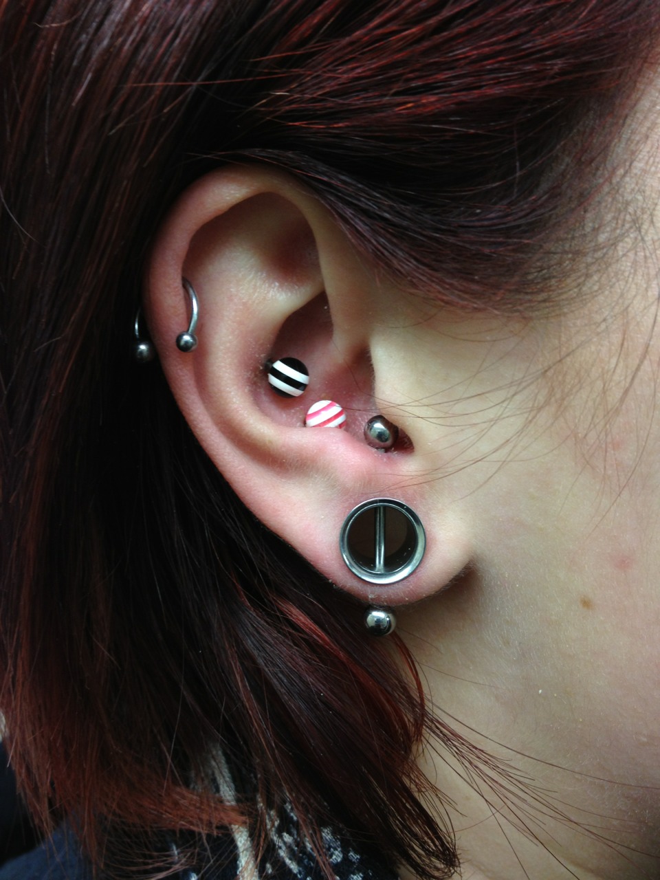 Colorful Studs Inner Conch And Transverse Lobe Piercing