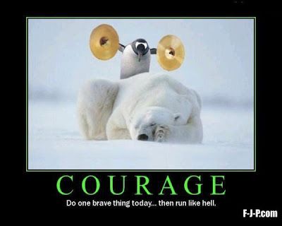 Courage Funny Bear Poster