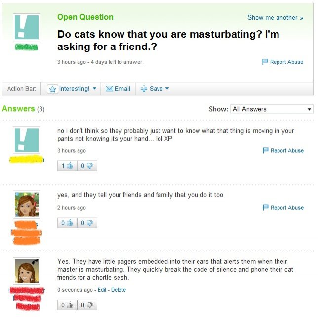 Do Cats Know That You Are Masturbating Funny Yahoo Question Answer Picture