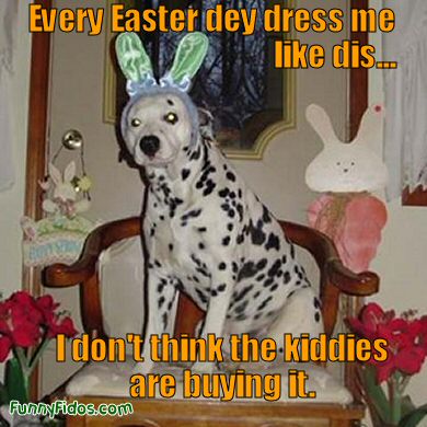 Every Easter Day Dress Me Like Dis Funny Easter Dog