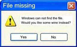 File Missing Funny Computer
