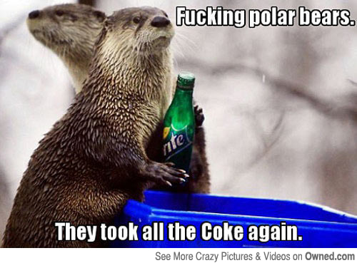 Fucking Polar Bear They Took All The Coke Again Funny Meme
