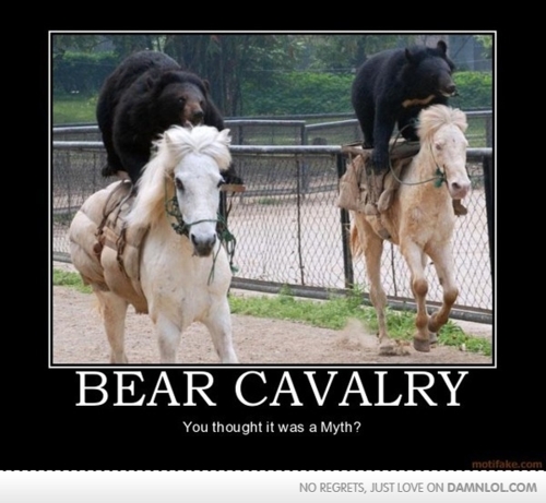 Funny Bears Riding Horses Poster