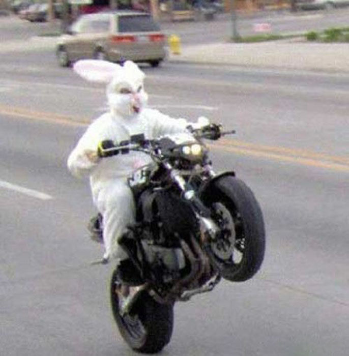 Funny Easter Bunny Riding Bike