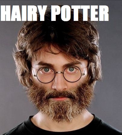 Funny Hairy Potter Image