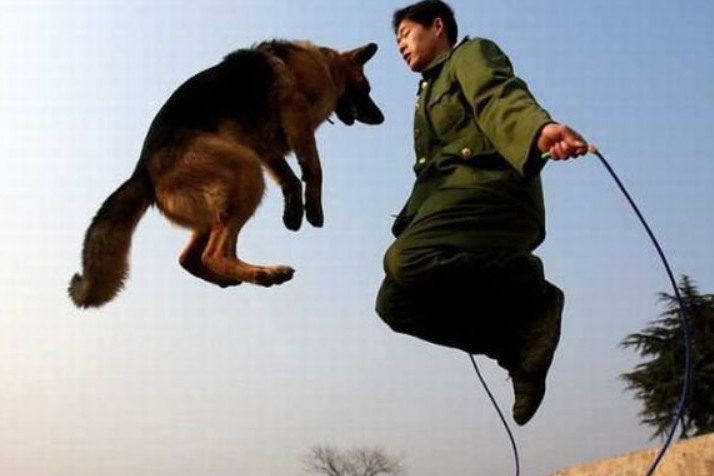 Funny Man And Dog Jumping Together